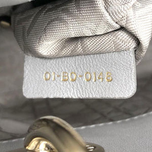 Mini Lady Dior Bag with Chain in Grey Pearly Lambskin