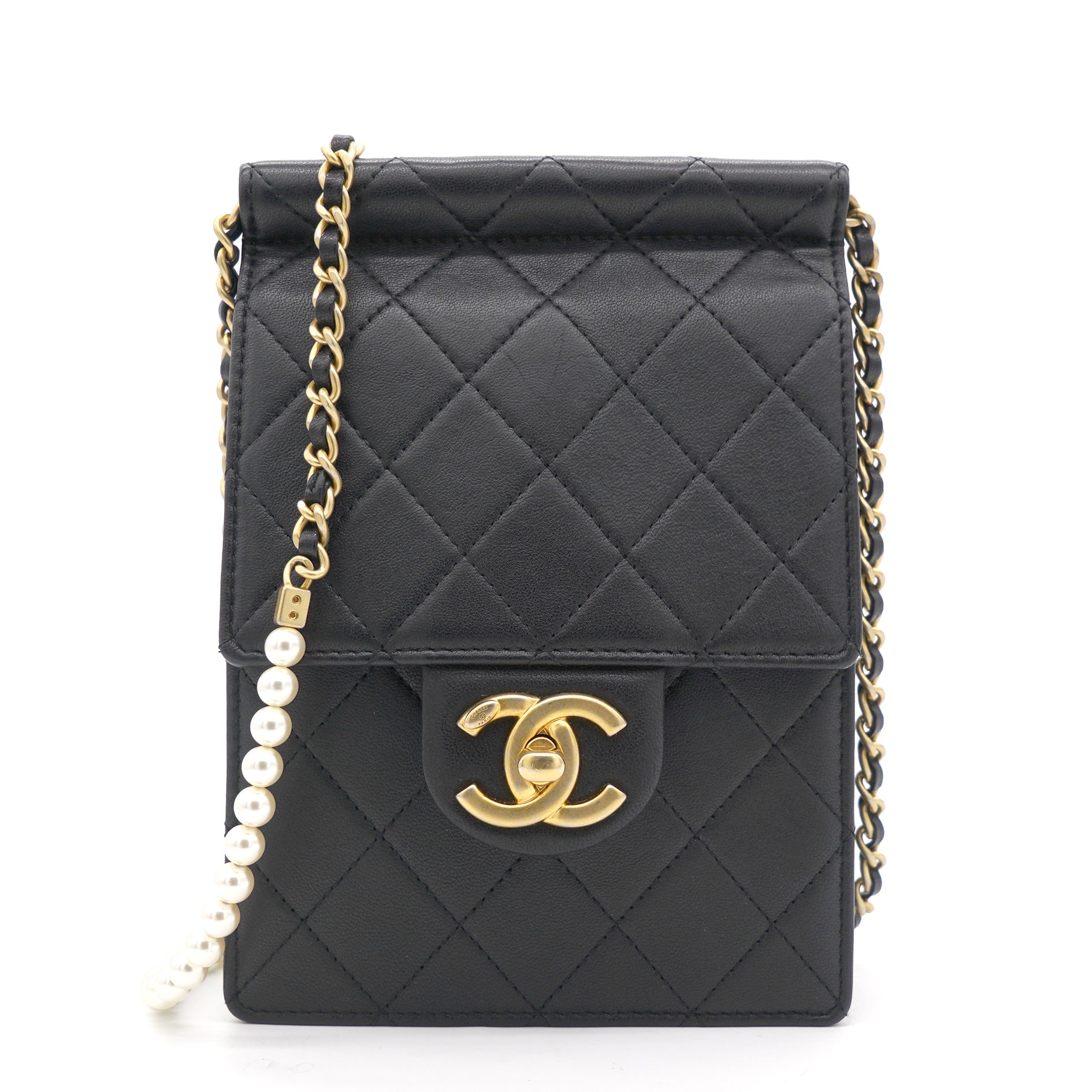 Vertical Pearls Clutch with Chic Pearl Chain In Black and Gold Hardware GHW