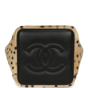 Chanel Mini 