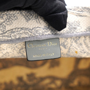 Beige/Grey Embroidered Canvas Toile de Jouy Book Tote