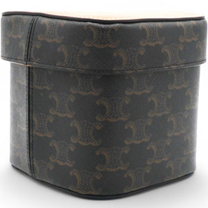 Medium Box In Triomphe Canvas