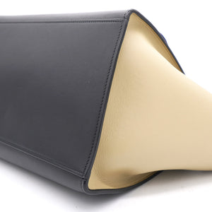 Tri-Color Leather and Suede Medium Trapeze Top Handle Bag