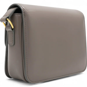 Shiny Leather Triomphe Pebble Teen