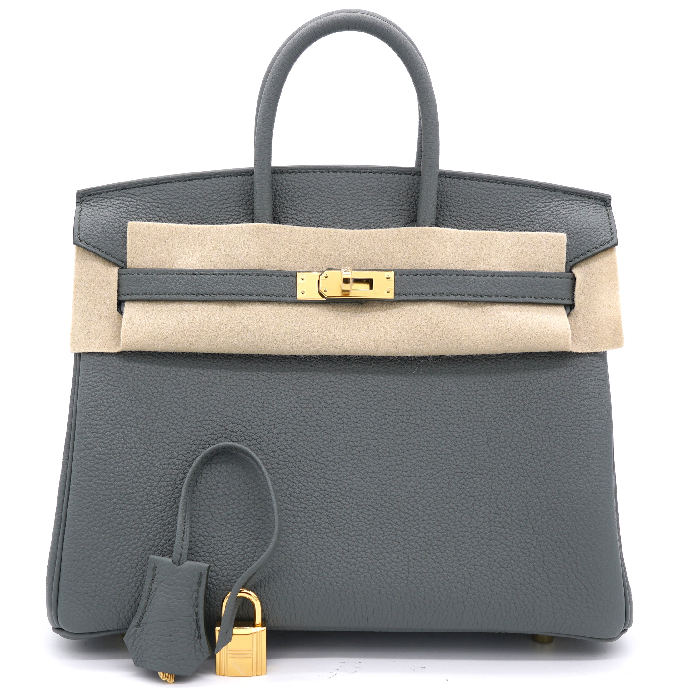 Togo Birkin 25 Vert Amande Yellow Gold Hardware