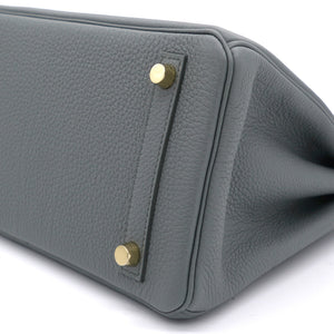 Togo Birkin 25 Vert Amande Yellow Gold Hardware