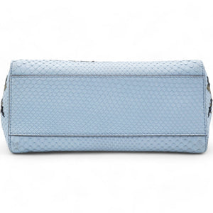 Light Blue Python Embroidered Peekaboo Mini Bag
