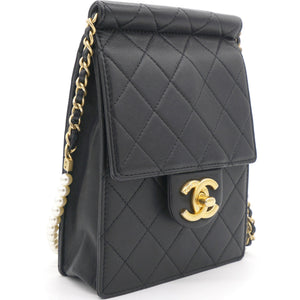 Vertical Pearls Clutch with Chic Pearl Chain In Black and Gold Hardware GHW