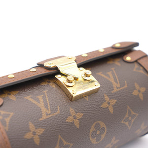 Monogram Canvas Papillon Trunk