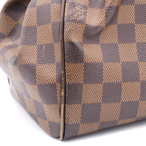 Damier Ebene Canvas Trevi PM Bag