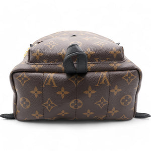 Monogram Palm Springs Backpack PM