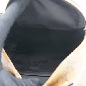 Monogram Reverse Palm Springs Mini Backpack