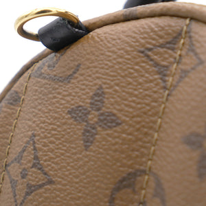 Monogram Reverse Palm Springs Mini Backpack