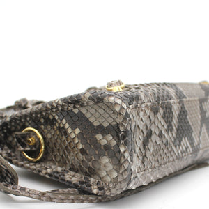Snakeskin Classic Nano City Tote Bag