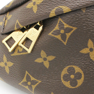 Monogram Giant Bumbag