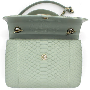 Snack skin Small Trendy CC Flap Dual Handle Bag Light Green