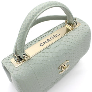 Snack skin Small Trendy CC Flap Dual Handle Bag Light Green