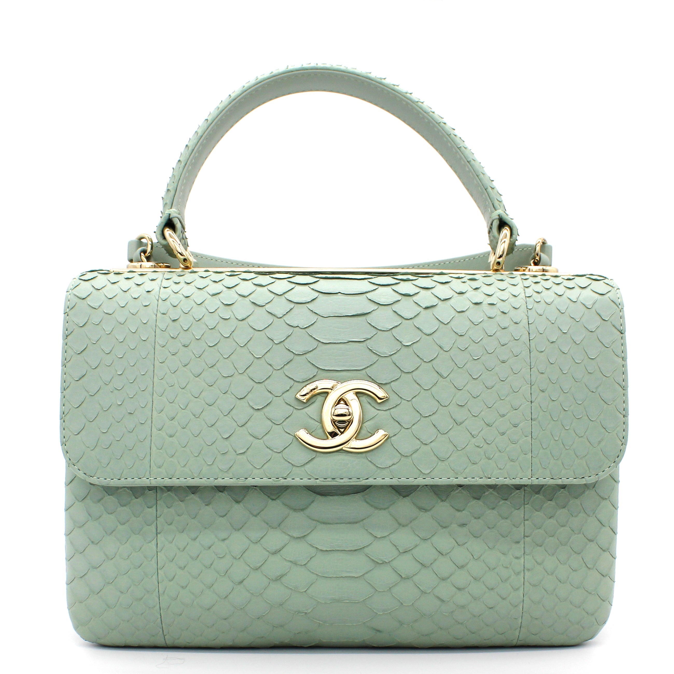 Snack skin Small Trendy CC Flap Dual Handle Bag Light Green