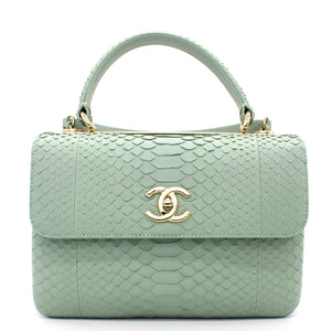 Snack skin Small Trendy CC Flap Dual Handle Bag Light Green