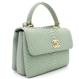Snack skin Small Trendy CC Flap Dual Handle Bag Light Green