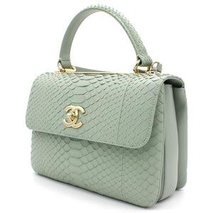 Snack skin Small Trendy CC Flap Dual Handle Bag Light Green