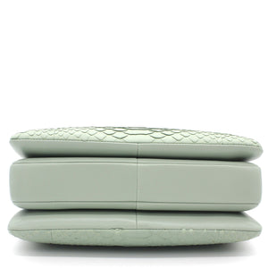 Snack skin Small Trendy CC Flap Dual Handle Bag Light Green