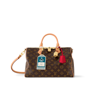 LOUIS VUITTON Speedy Soft 30 Crafty Monogram Red Sari Monogram