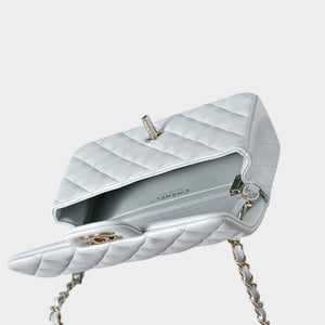 Classic Mini Quilted Leather Rectangular Flap Bag